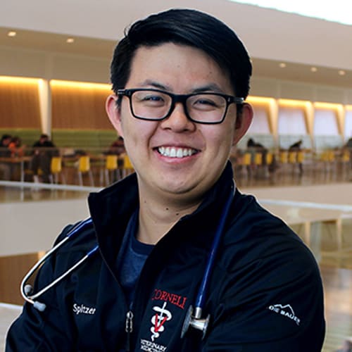 Dr. Addison Spitzer, La Mesa Veterinarian